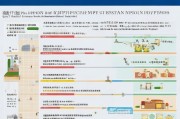 深圳租房补贴申请流程全指南，从条件到发放一文详解