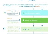 残疾人护理补贴申请全攻略，从 eligibility 到资金到账，一文读懂
